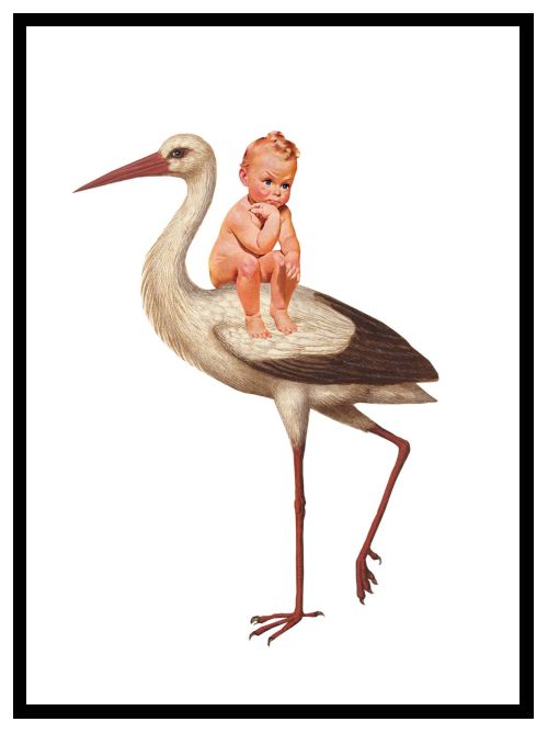 Stork and Baby. Designer Postcard.