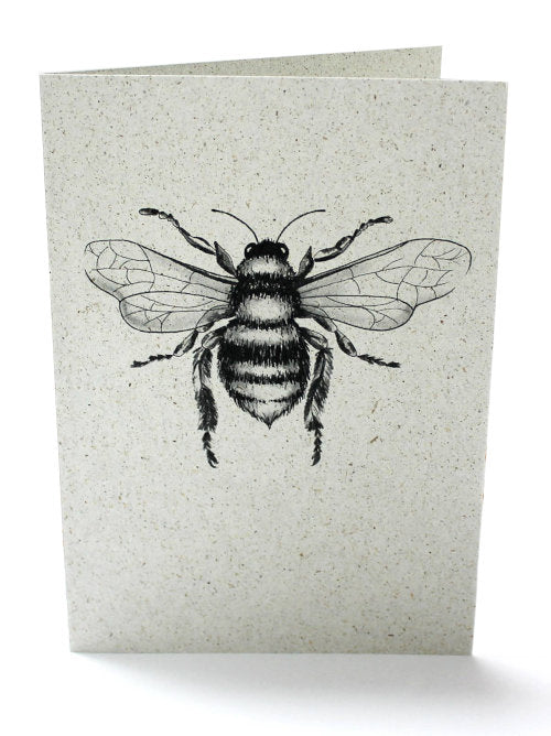 A beautifully detailed and intricate hand-drawn illustration of a bee printed on grass paper. The paper is textured and has a unique feel in the hand. Sustainable greetings card. 