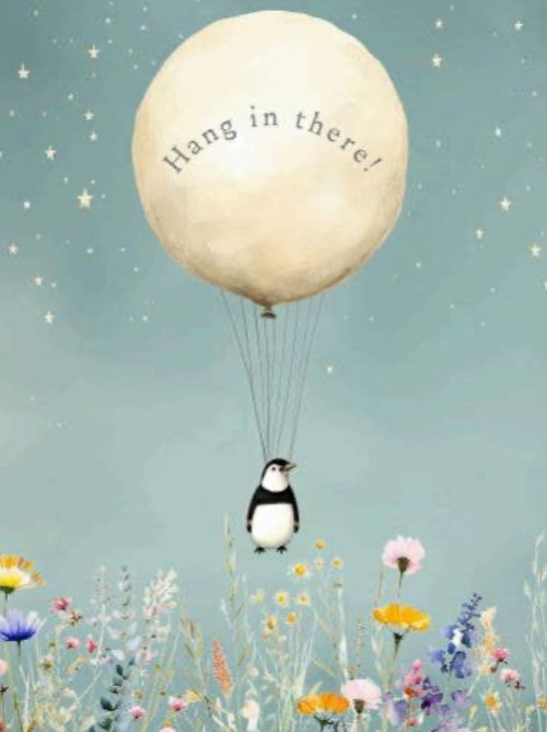 Hot Air Balloon discussed as a normal balloon with 'Hang in there!' text and a penguin descending resignedly into flowers against a starry sky.