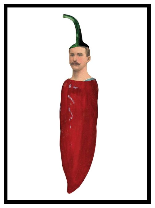 A designer postcard illustrated image of a man tucked inside a red chilli or hot pepper with the stalk on his head. 
