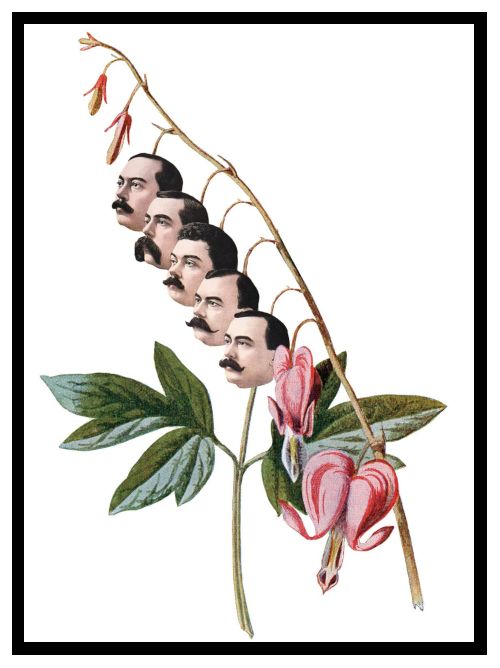 This designer postcard depicts a stem and five men's faces growing alongside the flower buds.