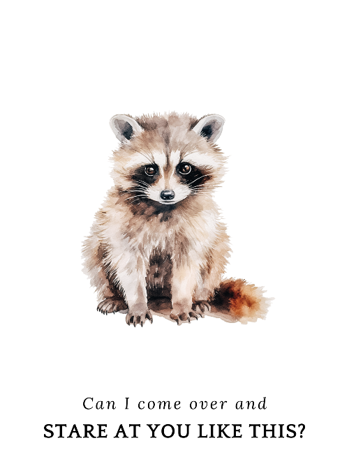 Illustration of a raccoon with a humorous text on a white background saying "Can I come over and stare at your like this?"
