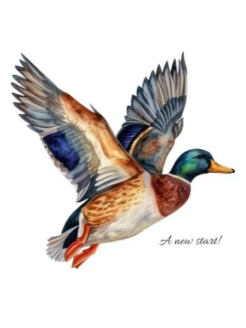 Colorful illustration of a duck with outstretched wings on a white background with text "A new start!"