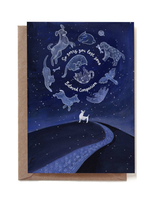 Deep blue background depicting the sky and earth at night with a white dog looking up to the sky where there are a variety of pet outlines with the words "So sorry you lost your beloved companion". 