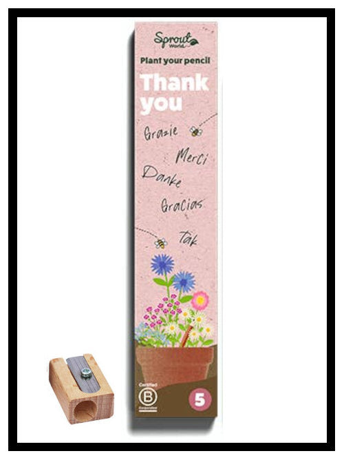 Thank You edition plantable pencil box with wooden sharpener displayed beside packaging