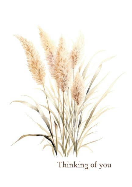 Artistic depiction of pampas grass with 'Thinking of you' text on a white background