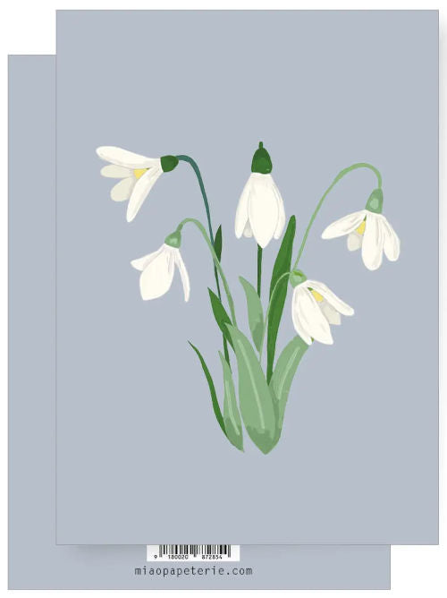 Illustration of delicate white snowdrop flowers on a soft blue background, elegant botanical greeting card.