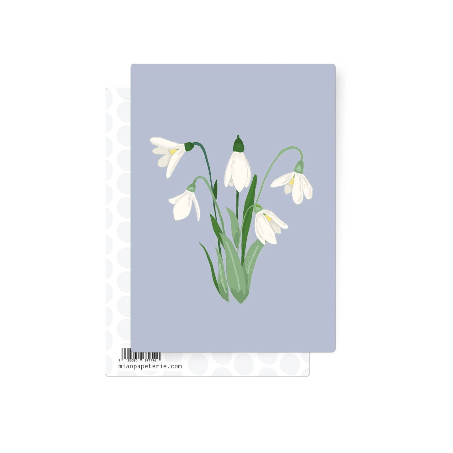 Illustration of delicate white snowdrop flowers on a soft blue background, elegant botanical postcard.