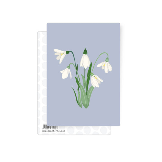 Illustration of delicate white snowdrop flowers on a soft blue background, elegant botanical postcard.