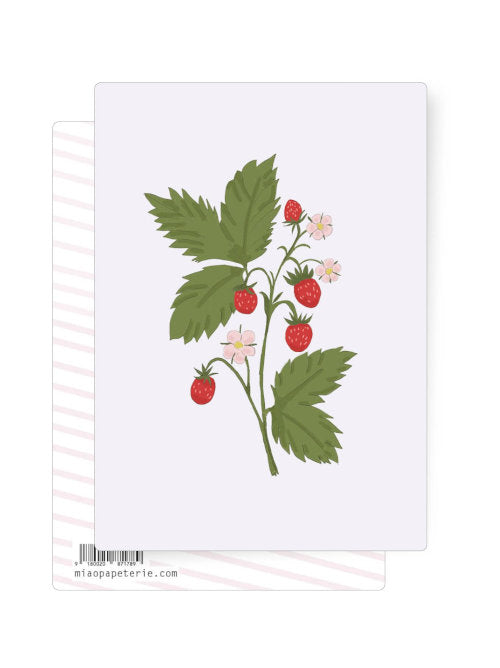 A white card with an hand-drawn illustration of a strawberry plant with some fruit and some flowers. Beautiful postcard suitable for many celebrations or events. 